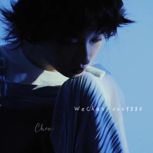 在线观看视频无码
